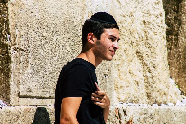 אייל לוי, 